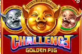 challengegoldenpig