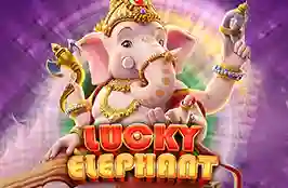 Lucky Elephant