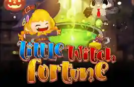Little Witch's Fortune