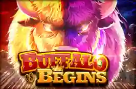 Buffalo Begins