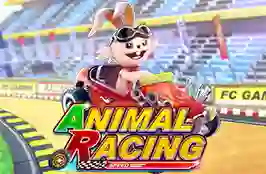 Animal Racing