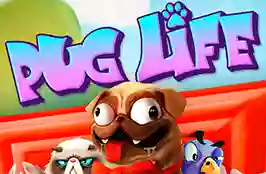 Pug Life