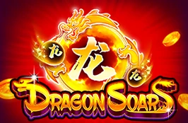 Dragon Soar