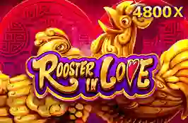 Rooster In Love