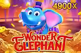 Wonder Elephant