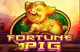 Fortunepig