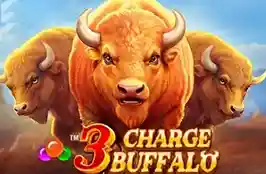 3 Charge Buffalo
