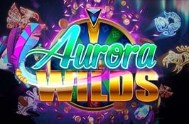 Aurora Wilds