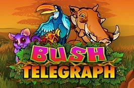 Bush Telegraph