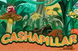 Cashapillar