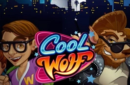 Cool Wolf