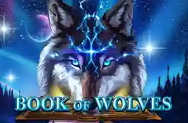 Book Of Wolves