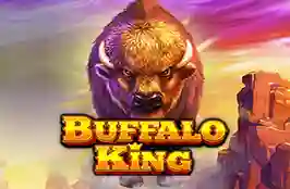 Buffalo King