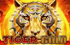 Tiger Gold