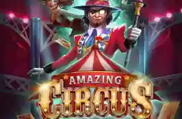 Amazing Circus