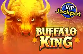 Buffalo King