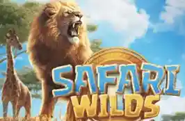 Safari Wilds