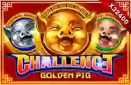 Challenge - Golden Pig