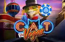 Cat In Vegas