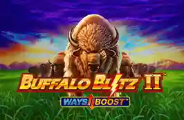 Buffalo Blitz Ii