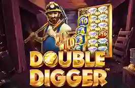 Double Digger B1