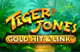 Gold Hit & Link Tiger Jones