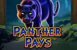 Panther Pays