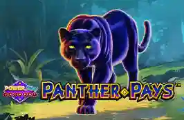 Panther Pays Powerplay Jackpot