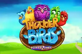Power Zones: Thunder Birds