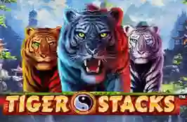 Tiger Stacks