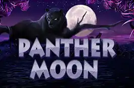 Panther Moon