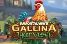 Immortal Ways Gallina Harvest