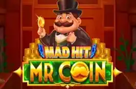 Mad Hit Mr Coin