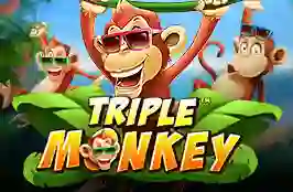 Triple Monkey