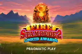 Fire Stampede 2